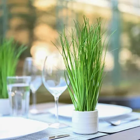 Apartament Romance Studio-steps From Thesea *