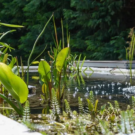 Romance Studio-steps From Thesea Apartament