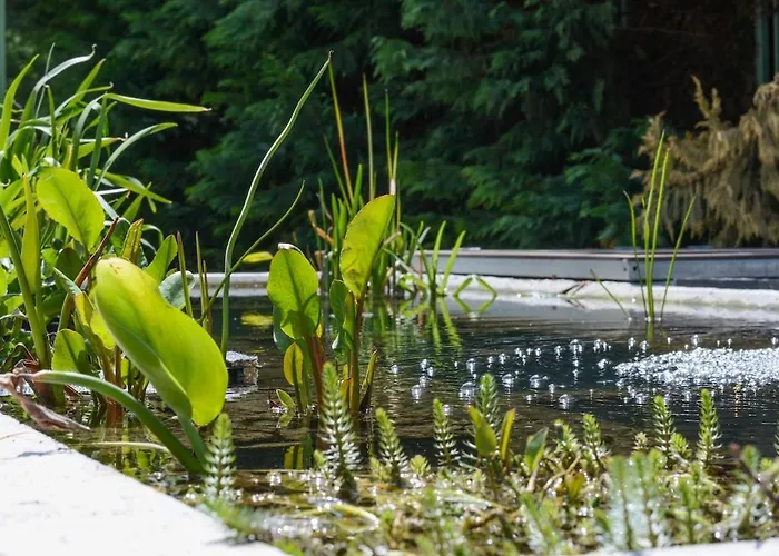 Romance Studio-steps From Thesea ヴァルナ